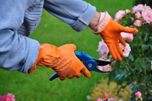 Tree surgeon complaints procedure introduction