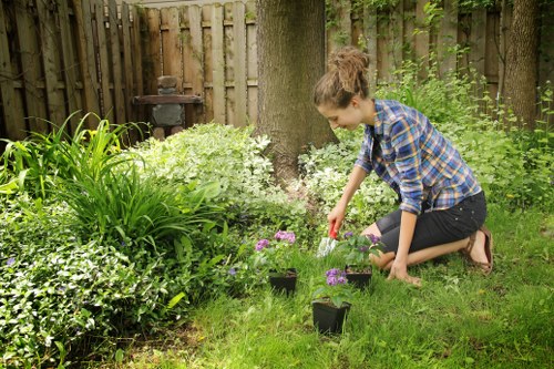 Customer raising a tree surgery complaint