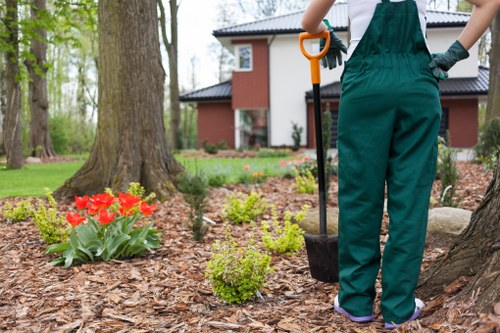 Protected card payment options for Hanwell tree surgery