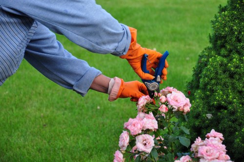 Final step in a tree surgeons complaints process